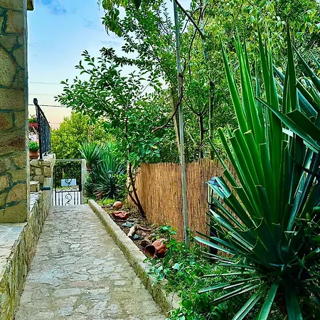 Yanakievi Affittacamere