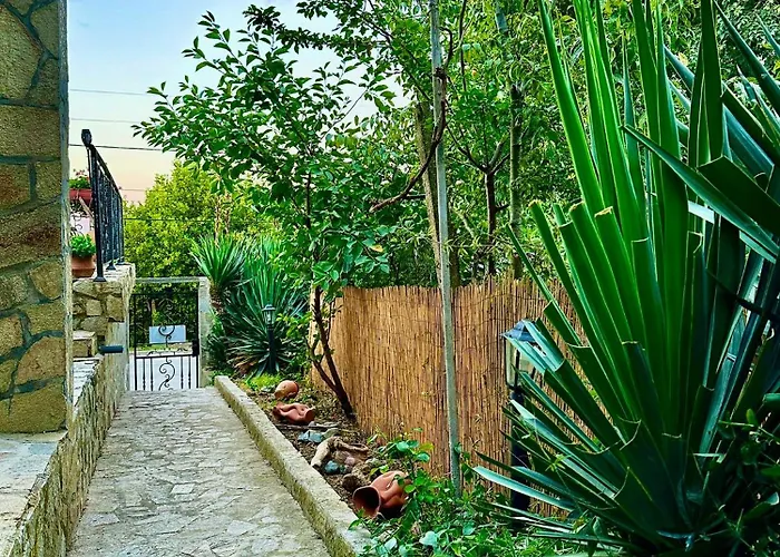 Yanakievi Affittacamere